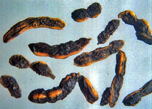 Huaijiao